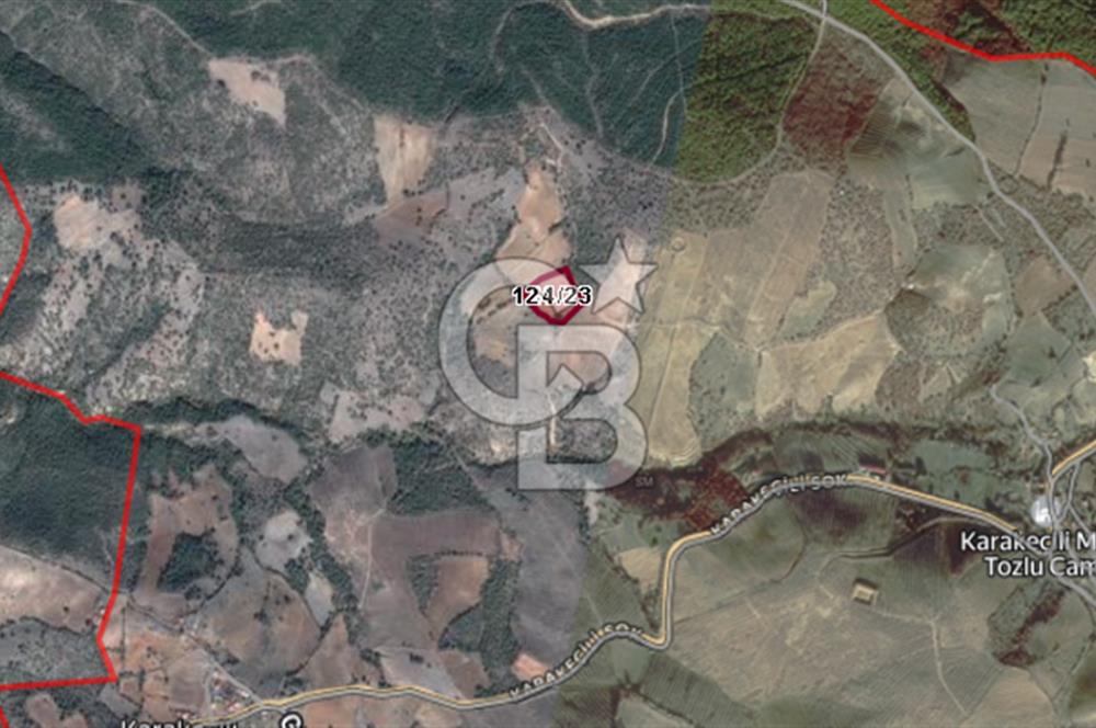 Manisa Gördes te Satılık 6700m² Ceviz Bahçesi