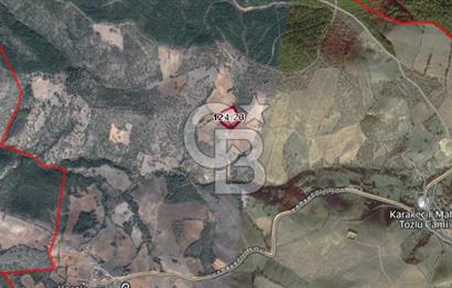 Manisa Gördes te Satılık 6700m² Ceviz Bahçesi