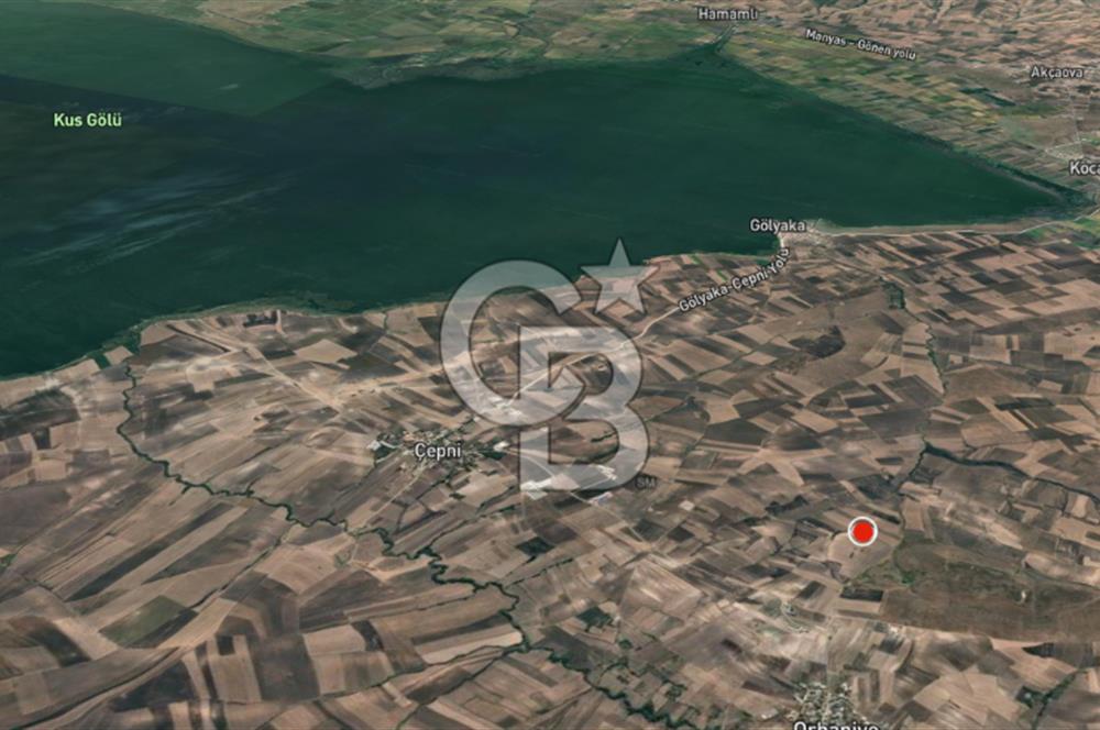 CB Leader'dan Bandırma Orhaniye'de satılık zeytinlik