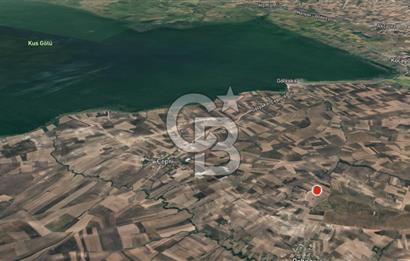 CB Leader'dan Bandırma Orhaniye'de satılık zeytinlik