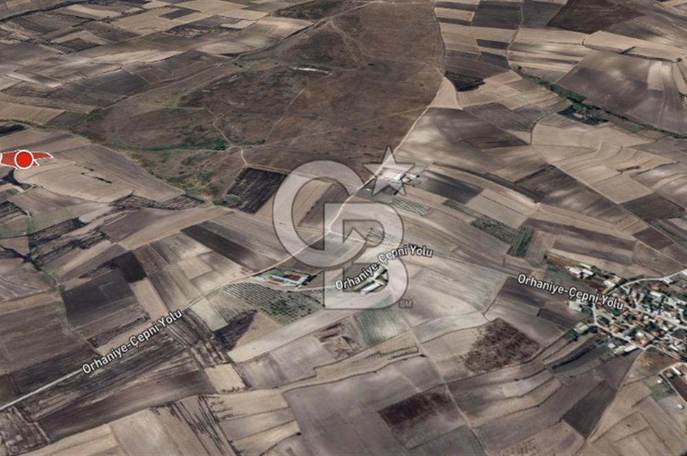 CB Leader'dan Bandırma Orhaniye'de satılık zeytinlik