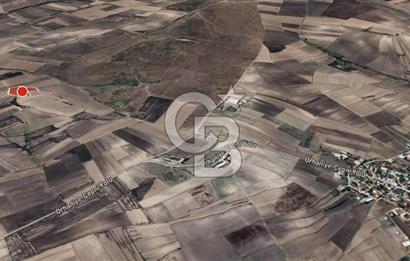 CB Leader'dan Bandırma Orhaniye'de satılık zeytinlik