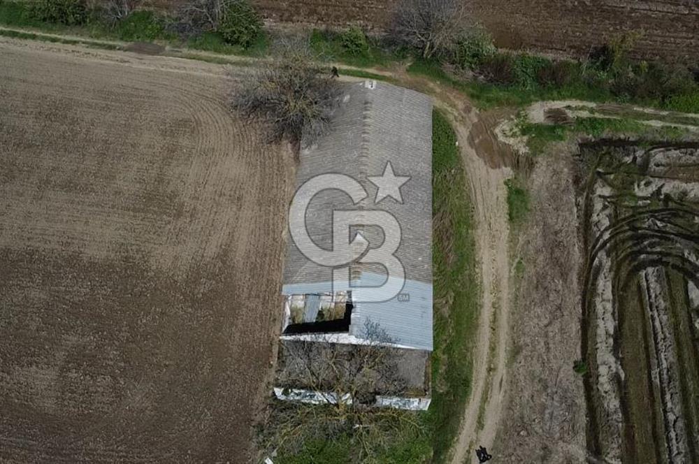 CB Leader'dan Manyas Kızıkta 3124 m² K. Tavukhane ve Tarla