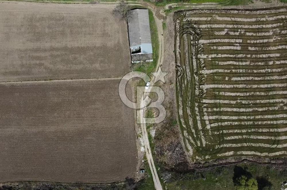 CB Leader'dan Manyas Kızıkta 3124 m² K. Tavukhane ve Tarla