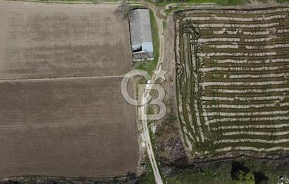 CB Leader'dan Manyas Kızıkta 3124 m² K. Tavukhane ve Tarla