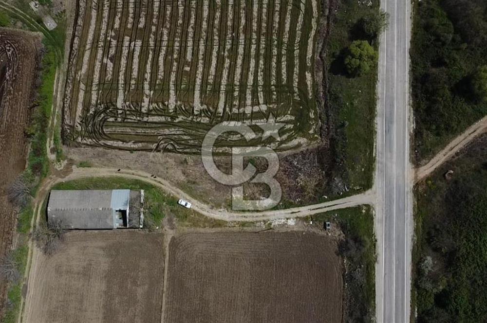 CB Leader'dan Manyas Kızıkta 3124 m² K. Tavukhane ve Tarla