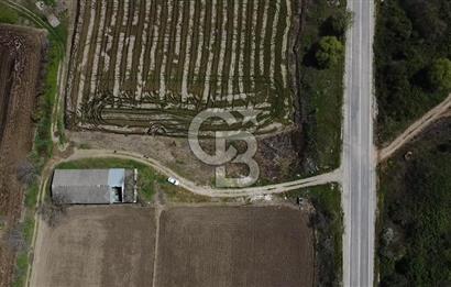 CB Leader'dan Manyas Kızıkta 3124 m² K. Tavukhane ve Tarla