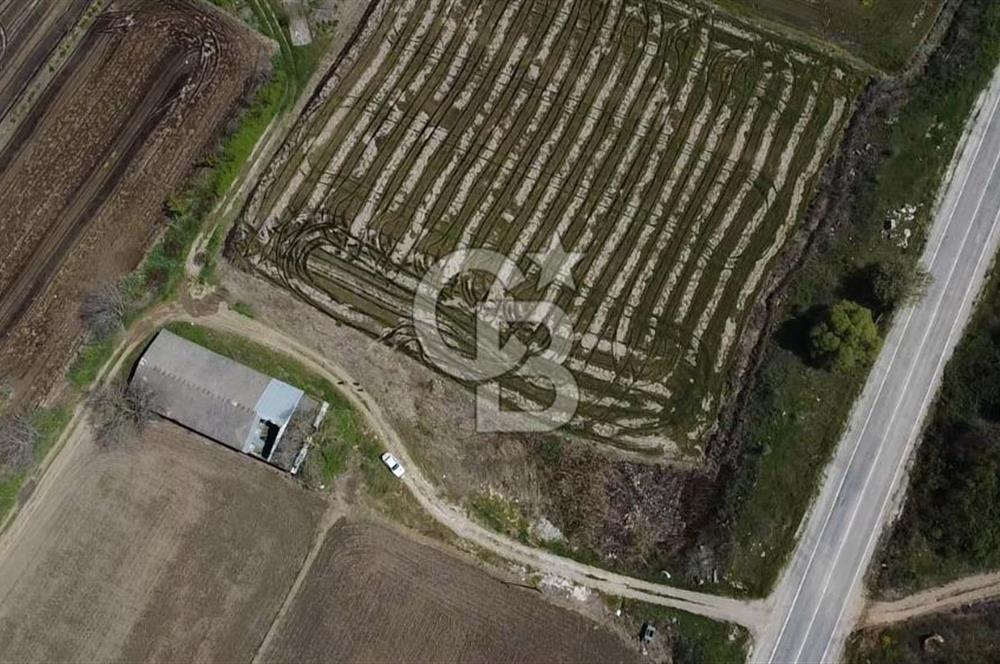 CB Leader'dan Manyas Kızıkta 3124 m² K. Tavukhane ve Tarla