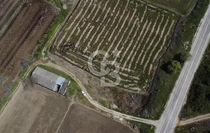 CB Leader'dan Manyas Kızıkta 3124 m² K. Tavukhane ve Tarla