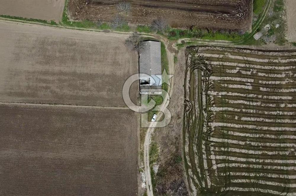 CB Leader'dan Manyas Kızıkta 3124 m² K. Tavukhane ve Tarla