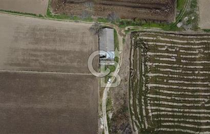CB Leader'dan Manyas Kızıkta 3124 m² K. Tavukhane ve Tarla