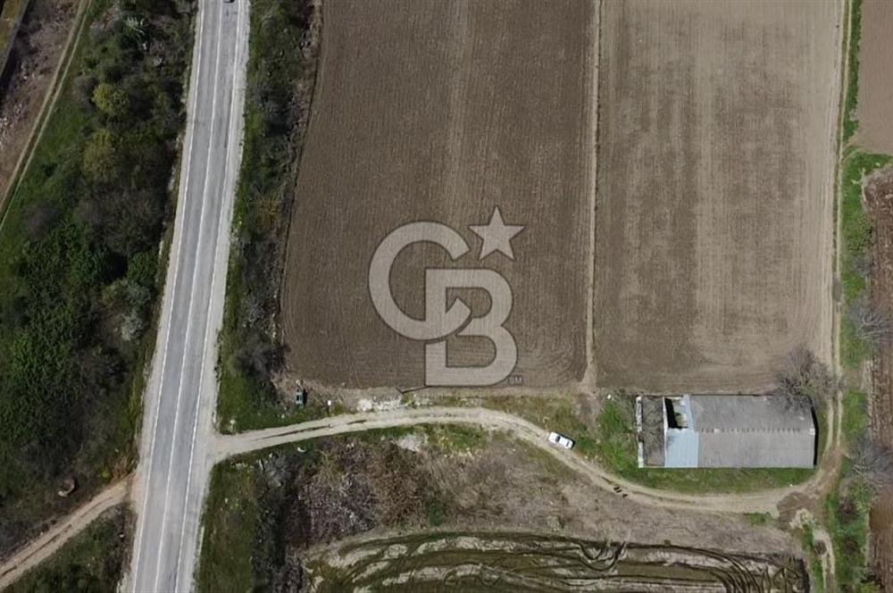 CB Leader'dan Manyas Kızıkta 3124 m² K. Tavukhane ve Tarla