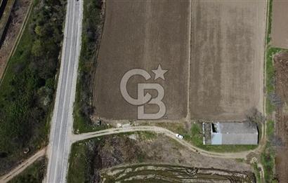 CB Leader'dan Manyas Kızıkta 3124 m² K. Tavukhane ve Tarla