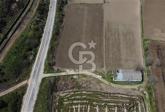 CB Leader'dan Manyas Kızıkta 3124 m² K. Tavukhane ve Tarla - 9 - 343033