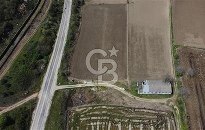 CB Leader'dan Manyas Kızıkta 3124 m² K. Tavukhane ve Tarla