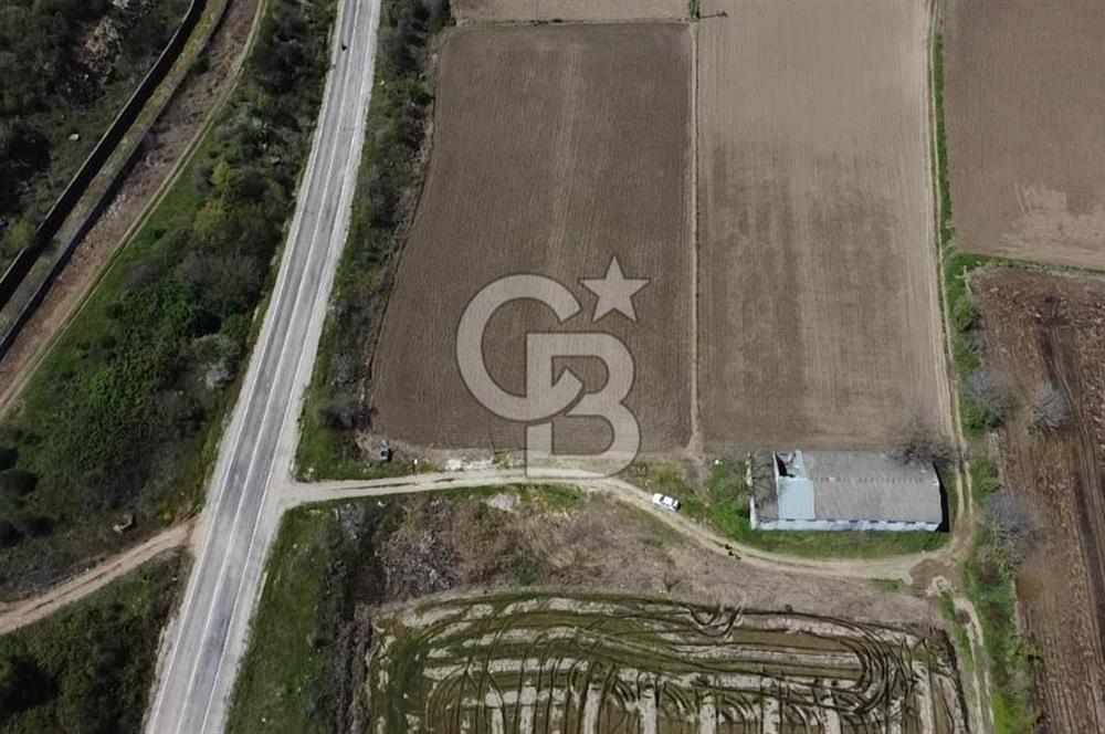 CB Leader'dan Manyas Kızıkta 3124 m² K. Tavukhane ve Tarla