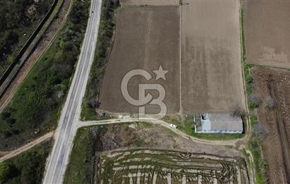 CB Leader'dan Manyas Kızıkta 3124 m² K. Tavukhane ve Tarla