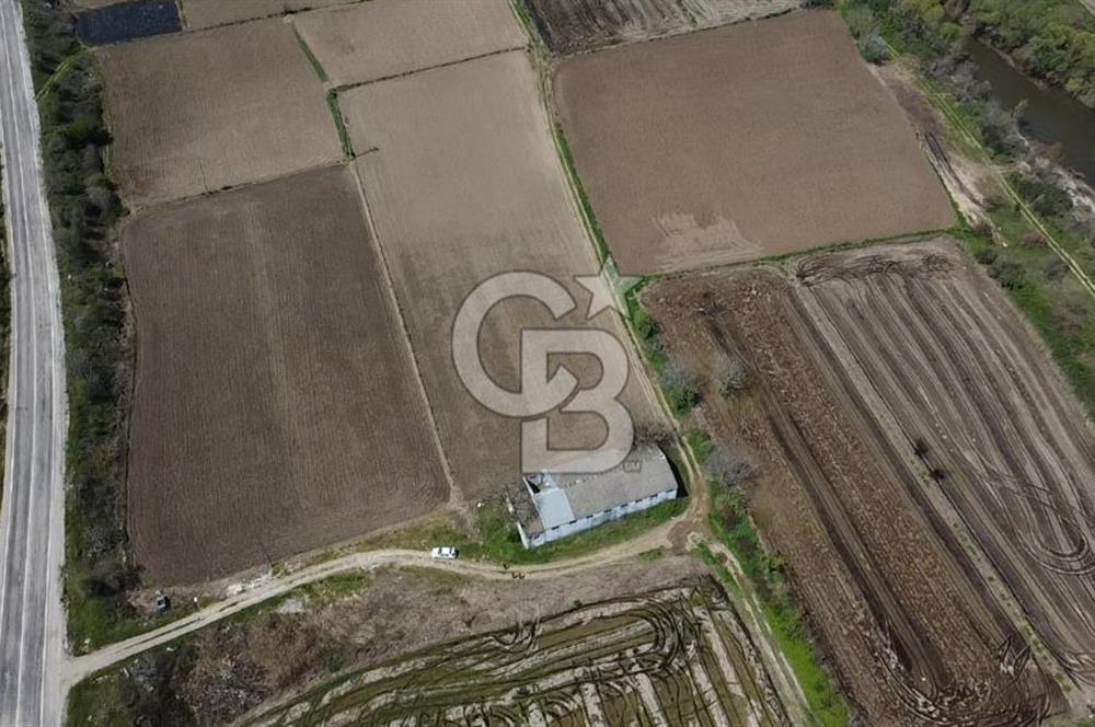 CB Leader'dan Manyas Kızıkta 3124 m² K. Tavukhane ve Tarla