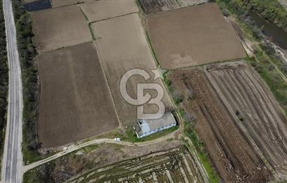 CB Leader'dan Manyas Kızıkta 3124 m² K. Tavukhane ve Tarla