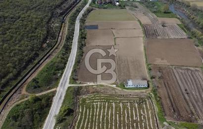 CB Leader'dan Manyas Kızıkta 3124 m² K. Tavukhane ve Tarla