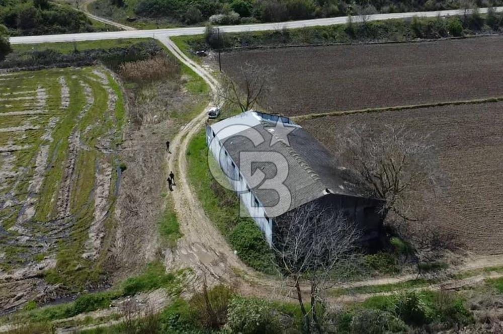 CB Leader'dan Manyas Kızıkta 3124 m² K. Tavukhane ve Tarla