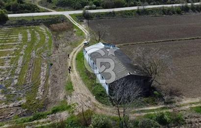CB Leader'dan Manyas Kızıkta 3124 m² K. Tavukhane ve Tarla