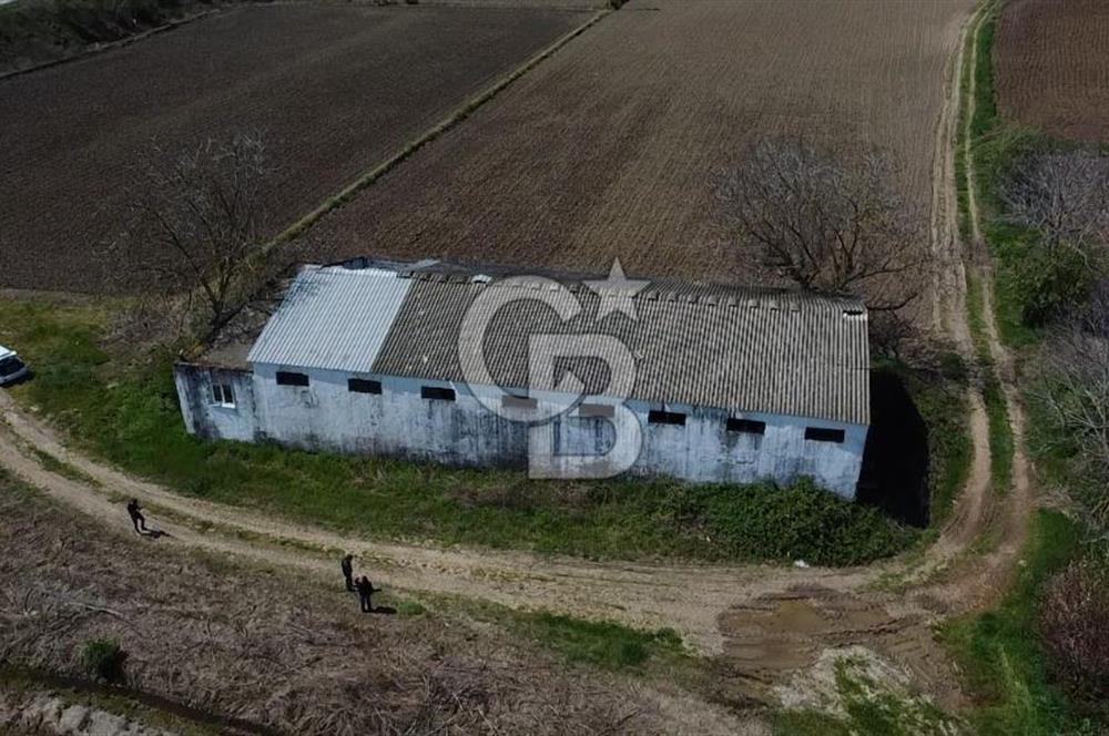 CB Leader'dan Manyas Kızıkta 3124 m² K. Tavukhane ve Tarla