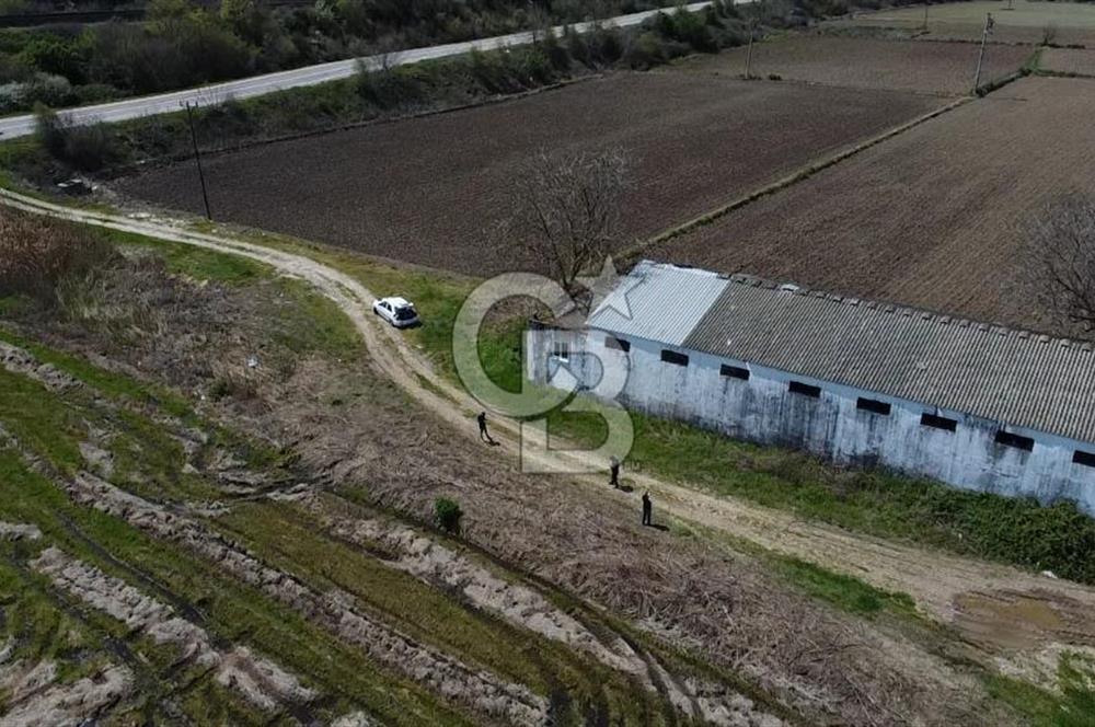 CB Leader'dan Manyas Kızıkta 3124 m² K. Tavukhane ve Tarla