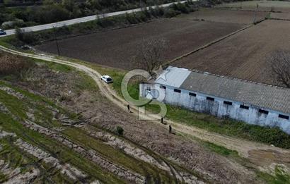 CB Leader'dan Manyas Kızıkta 3124 m² K. Tavukhane ve Tarla