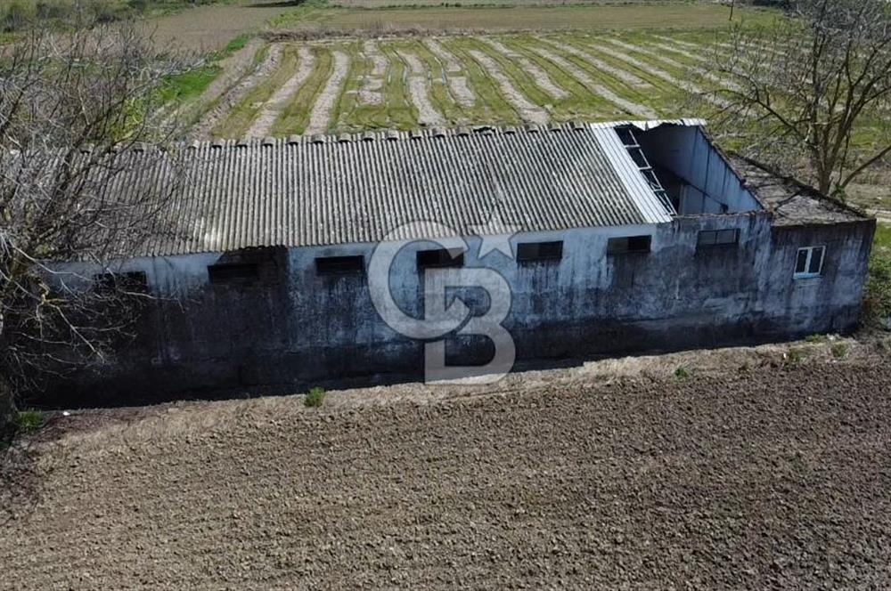 CB Leader'dan Manyas Kızıkta 3124 m² K. Tavukhane ve Tarla