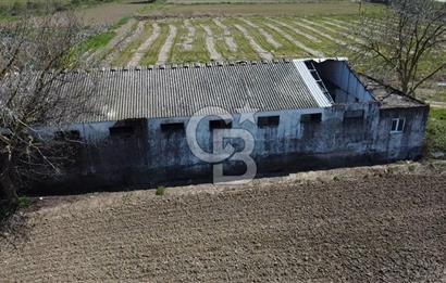 CB Leader'dan Manyas Kızıkta 3124 m² K. Tavukhane ve Tarla