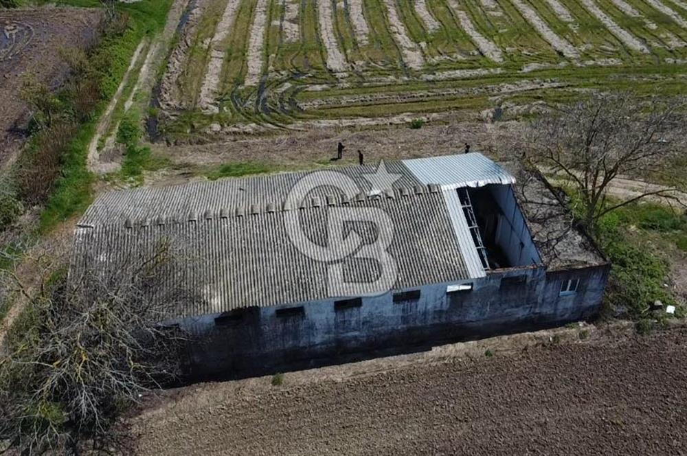 CB Leader'dan Manyas Kızıkta 3124 m² K. Tavukhane ve Tarla