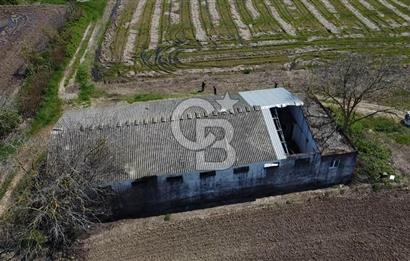 CB Leader'dan Manyas Kızıkta 3124 m² K. Tavukhane ve Tarla