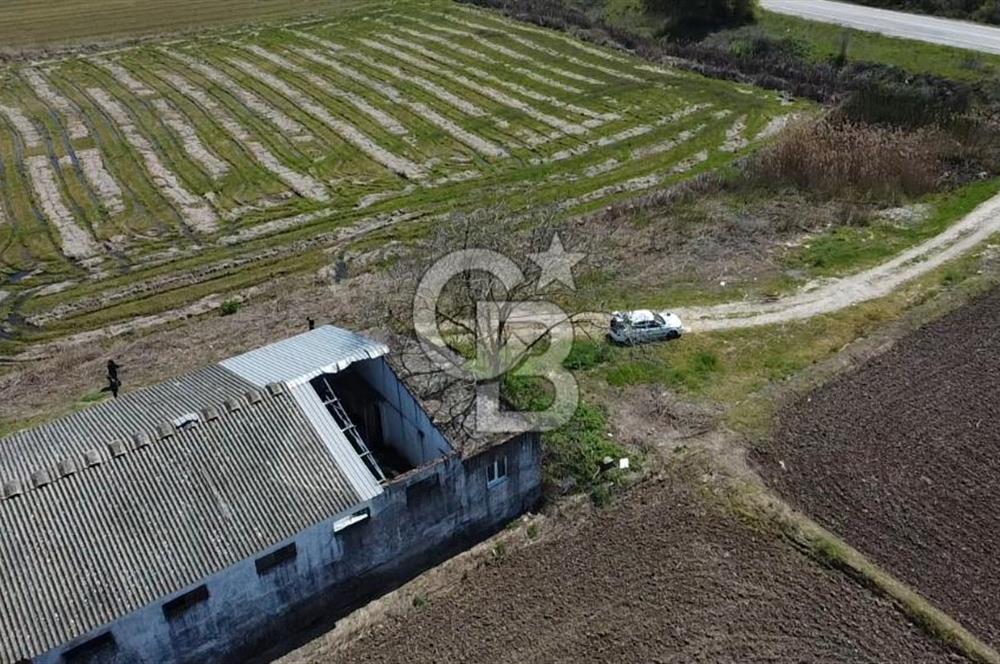 CB Leader'dan Manyas Kızıkta 3124 m² K. Tavukhane ve Tarla