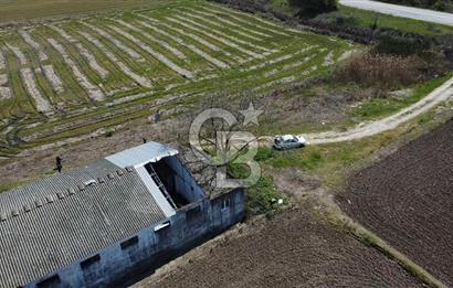 CB Leader'dan Manyas Kızıkta 3124 m² K. Tavukhane ve Tarla