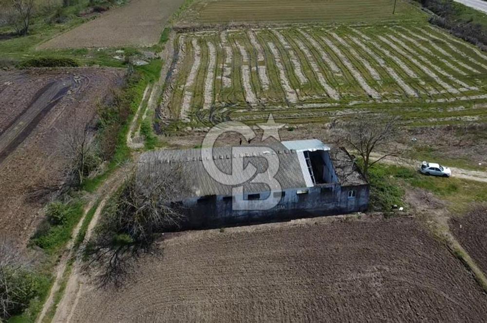 CB Leader'dan Manyas Kızıkta 3124 m² K. Tavukhane ve Tarla