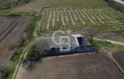 CB Leader'dan Manyas Kızıkta 3124 m² K. Tavukhane ve Tarla