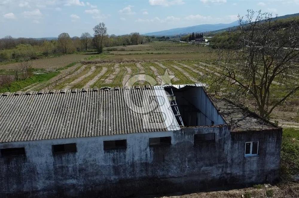 CB Leader'dan Manyas Kızıkta 3124 m² K. Tavukhane ve Tarla