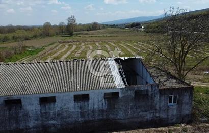 CB Leader'dan Manyas Kızıkta 3124 m² K. Tavukhane ve Tarla