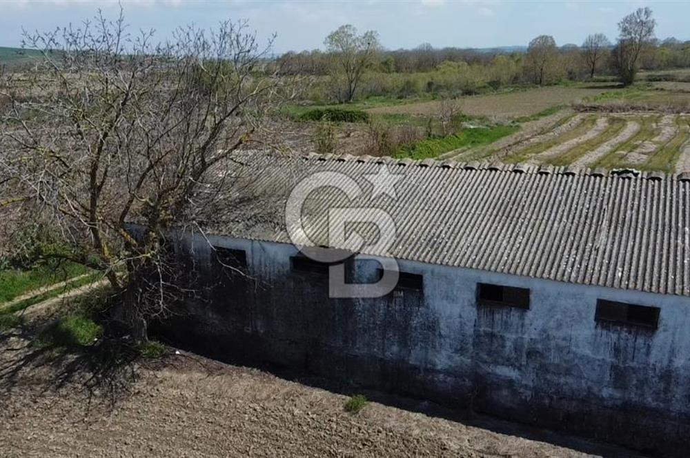 CB Leader'dan Manyas Kızıkta 3124 m² K. Tavukhane ve Tarla