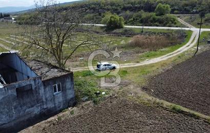 CB Leader'dan Manyas Kızıkta 3124 m² K. Tavukhane ve Tarla