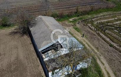 CB Leader'dan Manyas Kızıkta 3124 m² K. Tavukhane ve Tarla