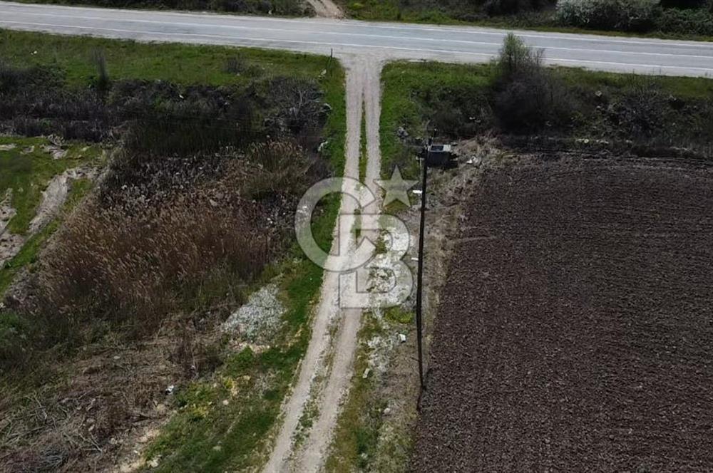 CB Leader'dan Manyas Kızıkta 3124 m² K. Tavukhane ve Tarla