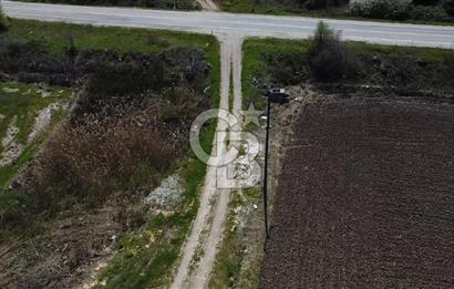 CB Leader'dan Manyas Kızıkta 3124 m² K. Tavukhane ve Tarla