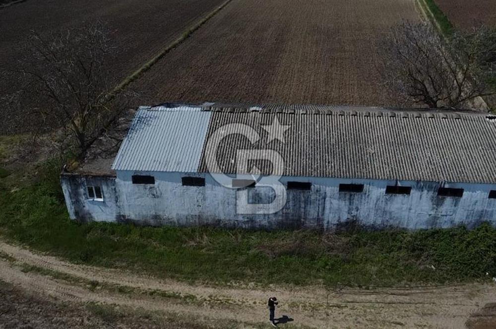 CB Leader'dan Manyas Kızıkta 3124 m² K. Tavukhane ve Tarla