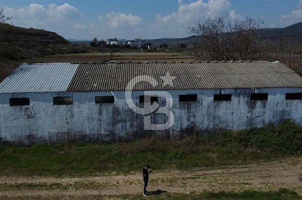 CB Leader'dan Manyas Kızıkta 3124 m² K. Tavukhane ve Tarla