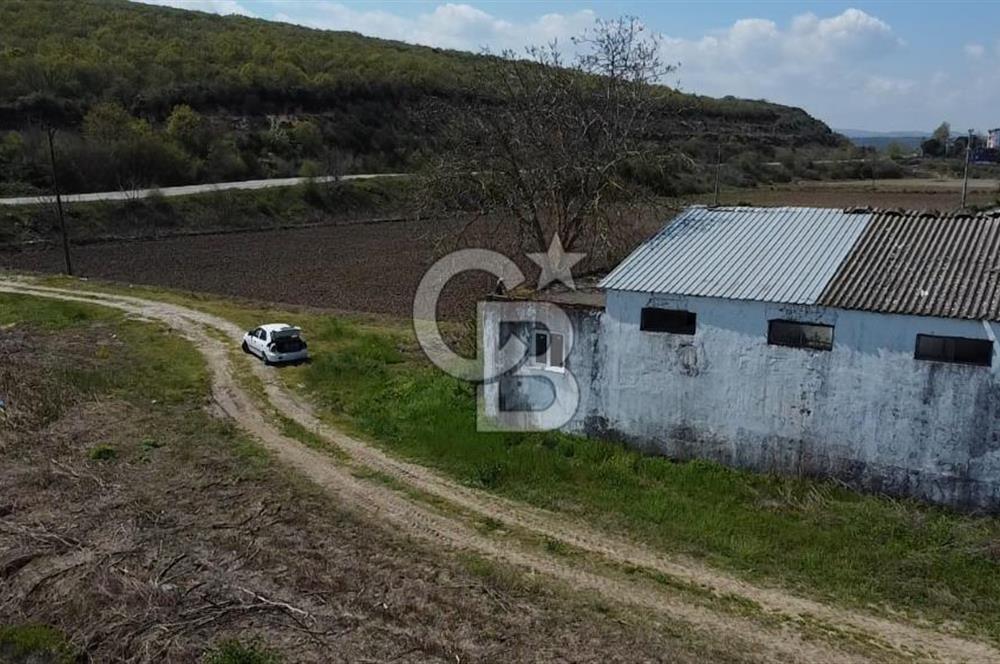 CB Leader'dan Manyas Kızıkta 3124 m² K. Tavukhane ve Tarla