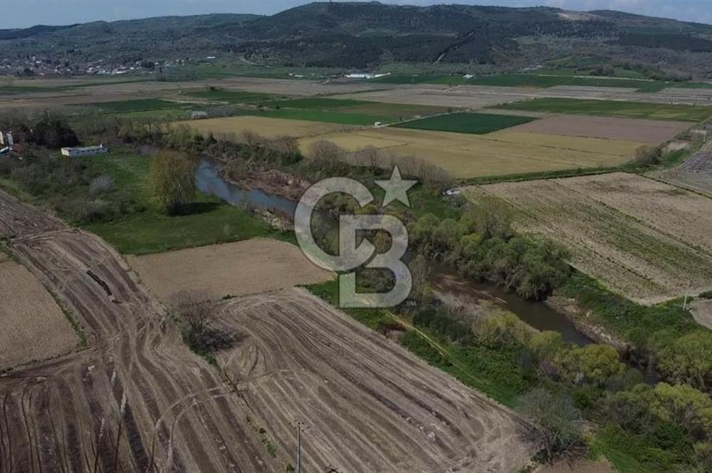 CB Leader'dan Manyas Kızıkta 3124 m² K. Tavukhane ve Tarla