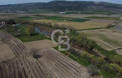 CB Leader'dan Manyas Kızıkta 3124 m² K. Tavukhane ve Tarla