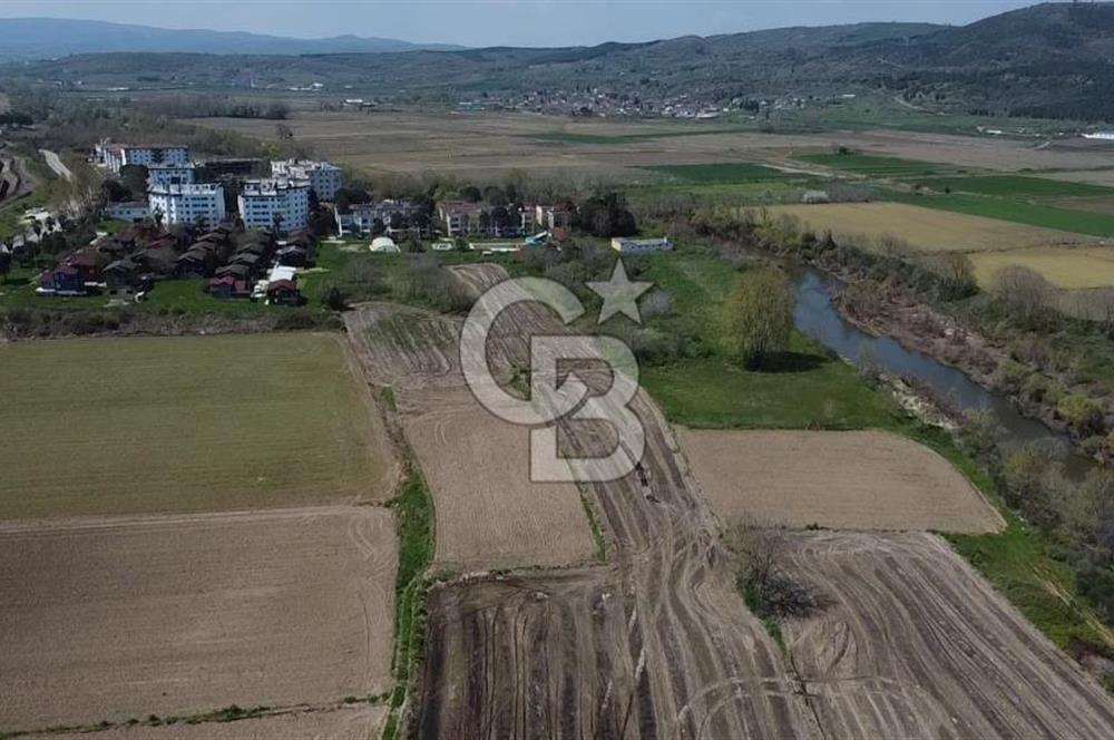 CB Leader'dan Manyas Kızıkta 3124 m² K. Tavukhane ve Tarla